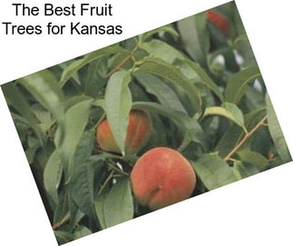The Best Fruit Trees for Kansas