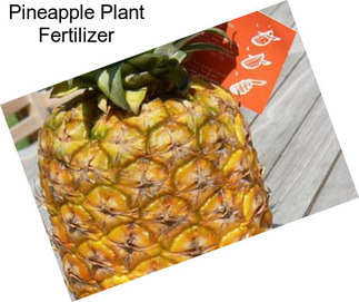 Pineapple Plant Fertilizer