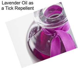 Lavender Oil as a Tick Repellent