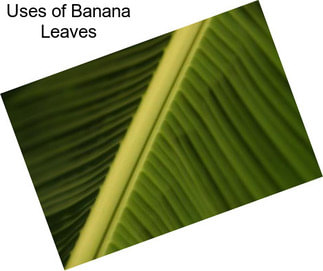 Uses of Banana Leaves