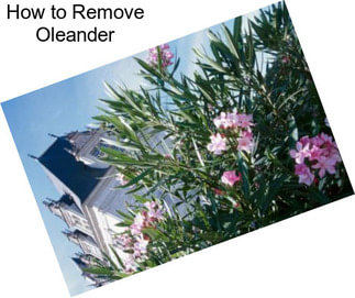 How to Remove Oleander