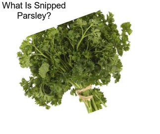 What Is Snipped Parsley?