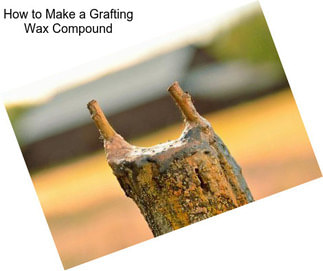How to Make a Grafting Wax Compound