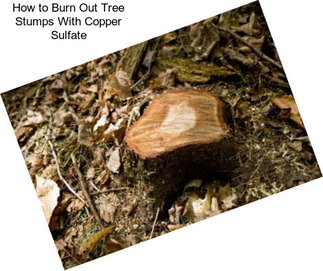 How to Burn Out Tree Stumps With Copper Sulfate