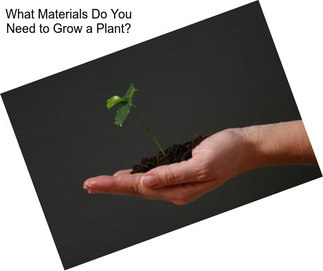 What Materials Do You Need to Grow a Plant?