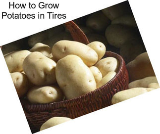 How to Grow Potatoes in Tires