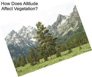 How Does Altitude Affect Vegetation?