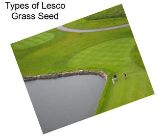 Types of Lesco Grass Seed