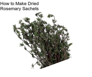 How to Make Dried Rosemary Sachets
