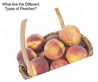 What Are the Different Types of Peaches?