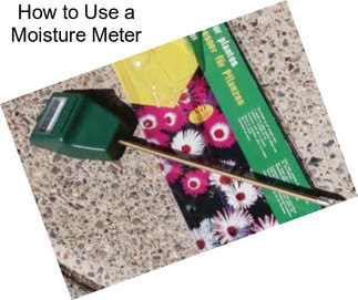 How to Use a Moisture Meter