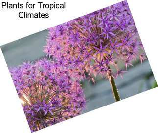 Plants for Tropical Climates