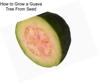 How to Grow a Guava Tree From Seed