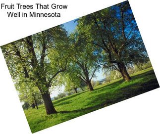 Fruit Trees That Grow Well in Minnesota