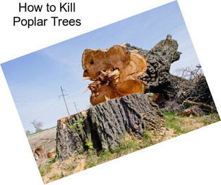 How to Kill Poplar Trees