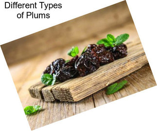 Different Types of Plums