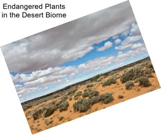 Endangered Plants in the Desert Biome