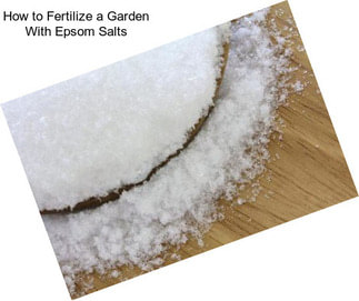 How to Fertilize a Garden With Epsom Salts