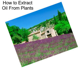 How to Extract Oil From Plants