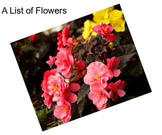 A List of Flowers