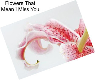 Flowers That Mean I Miss You