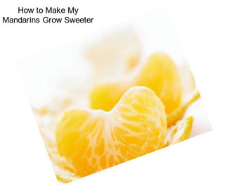 How to Make My Mandarins Grow Sweeter