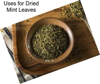 Uses for Dried Mint Leaves