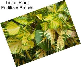 List of Plant Fertilizer Brands