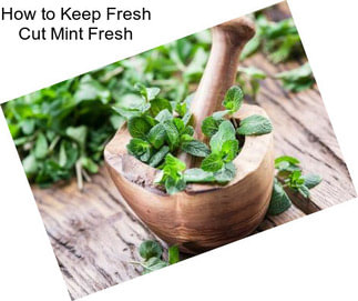 How to Keep Fresh Cut Mint Fresh