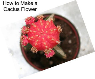 How to Make a Cactus Flower