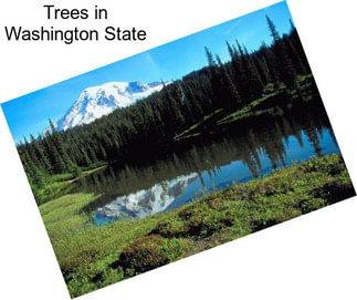 Trees in Washington State