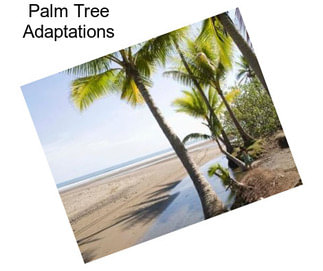 Palm Tree Adaptations