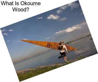 What Is Okoume Wood?