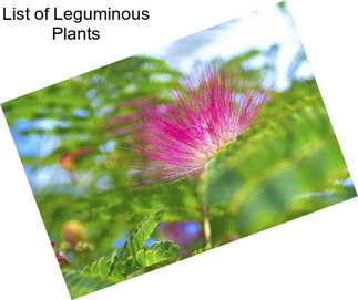 List of Leguminous Plants