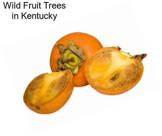 Wild Fruit Trees in Kentucky