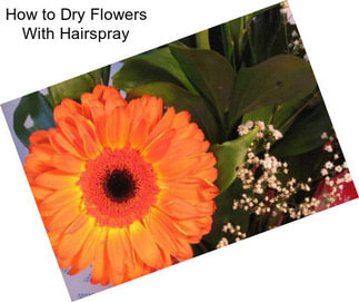 How to Dry Flowers With Hairspray