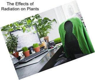 The Effects of Radiation on Plants