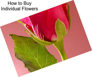 How to Buy Individual Flowers