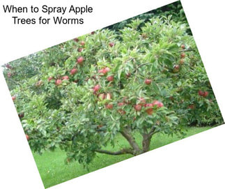When to Spray Apple Trees for Worms