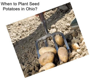When to Plant Seed Potatoes in Ohio?