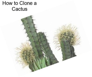 How to Clone a Cactus