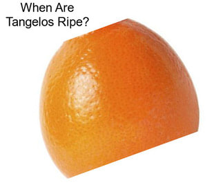 When Are Tangelos Ripe?