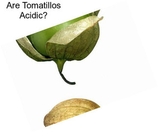 Are Tomatillos Acidic?