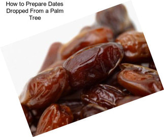 How to Prepare Dates Dropped From a Palm Tree