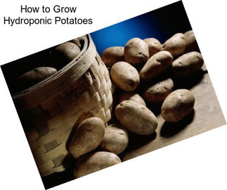 How to Grow Hydroponic Potatoes