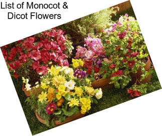 List of Monocot & Dicot Flowers