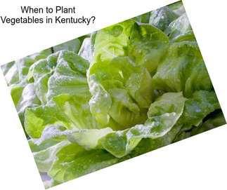 When to Plant Vegetables in Kentucky?