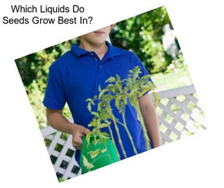 Which Liquids Do Seeds Grow Best In?