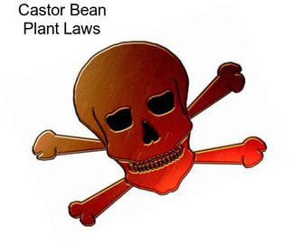 Castor Bean Plant Laws