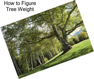 How to Figure Tree Weight